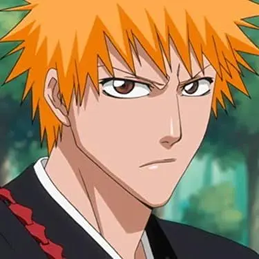 Profile image of 黒崎一護