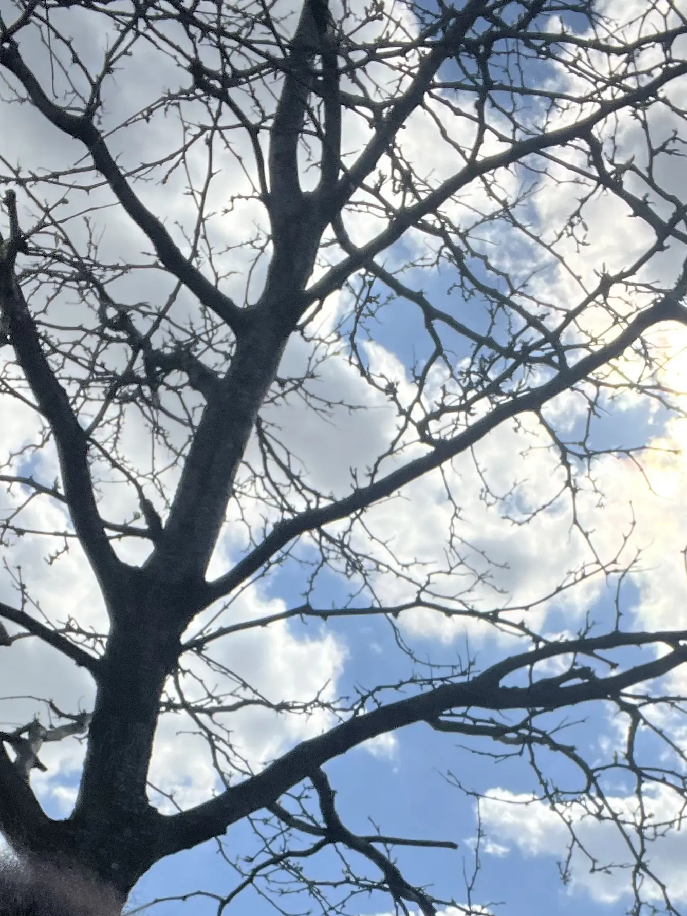 GiddyBag3208의 The sullies arrive