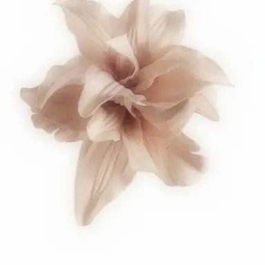 Profile image of 백서경 경위