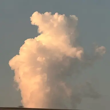 Profile image of 미수반