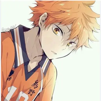 Profile image of 日向翔陽