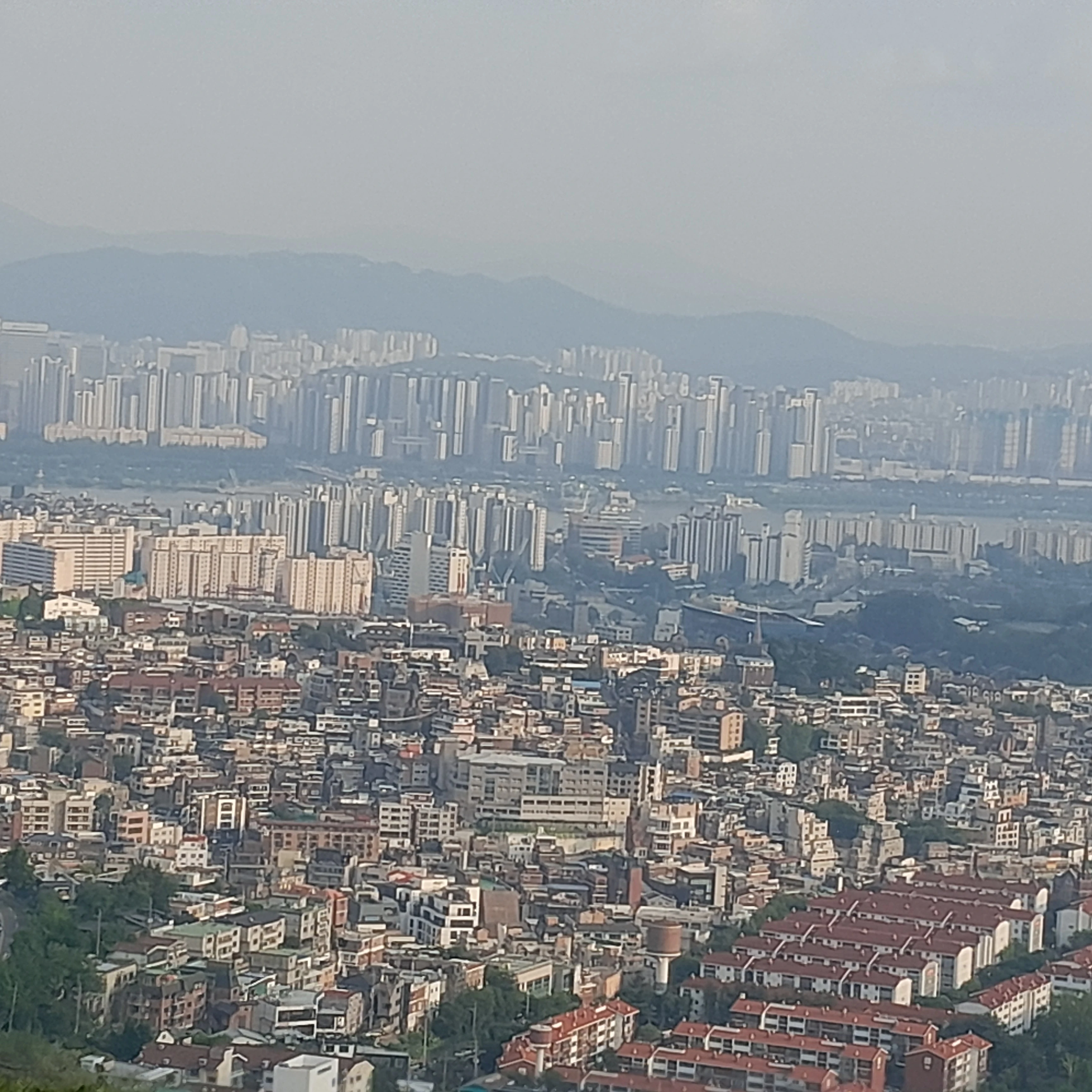 3명의 친언니들