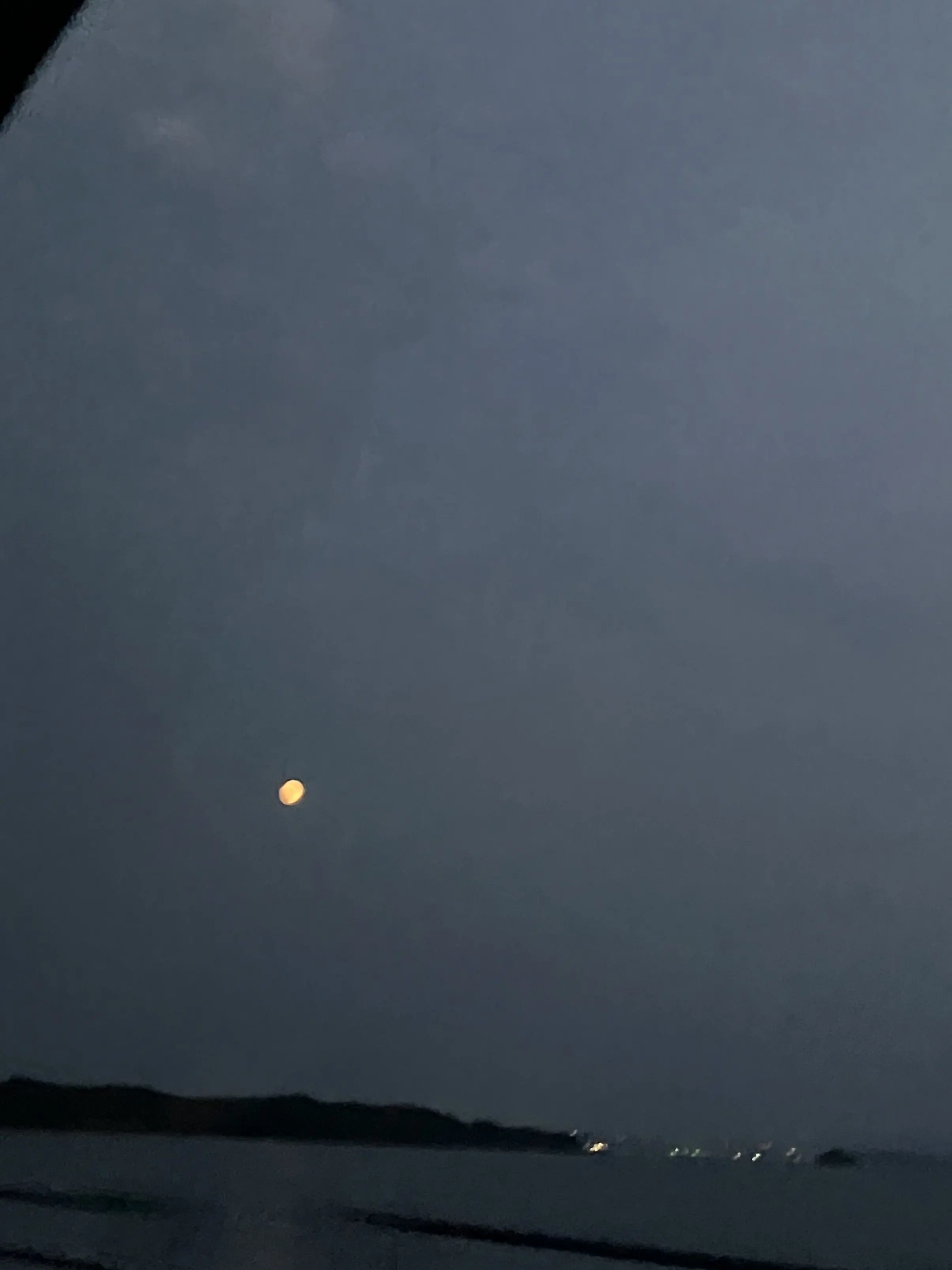 PlacidSound5174의 にょた