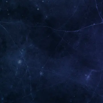 Profile image of 이수열