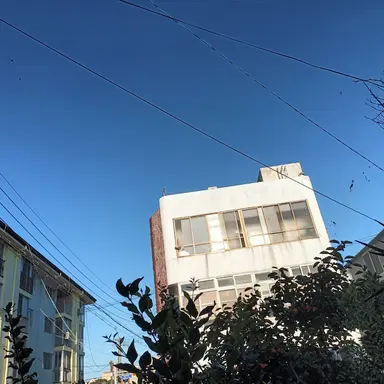 Profile image of 고탱