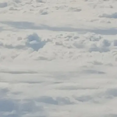 Profile image of 소정