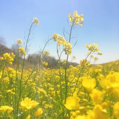 Profile image of 엘리엇