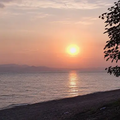 Profile image of 쿠빈