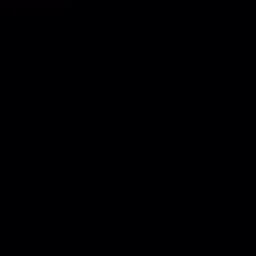 시 집
