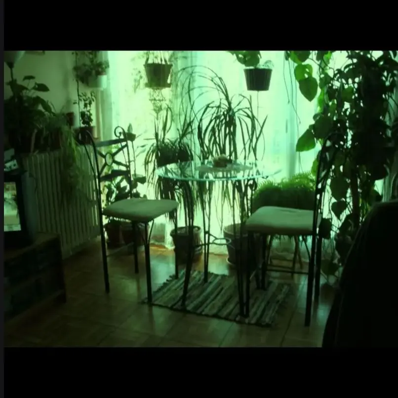 Kamisamas의 ㅤㅤ