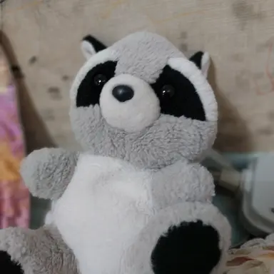 Profile image of 라쿤