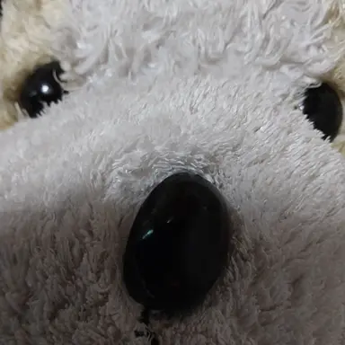 Profile image of 곰탱이