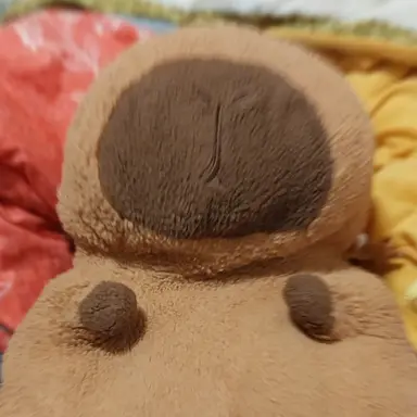 Profile image of 감귤이