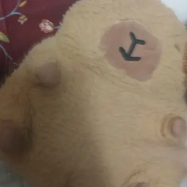 Profile image of 뚱땡이