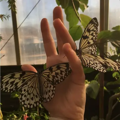 Profile image of 이진욱