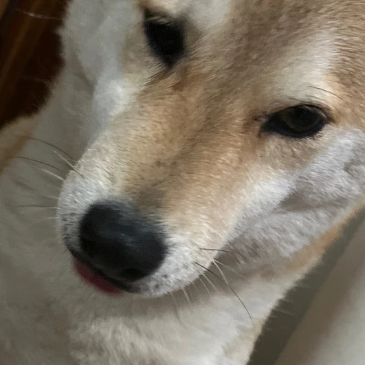 주인장