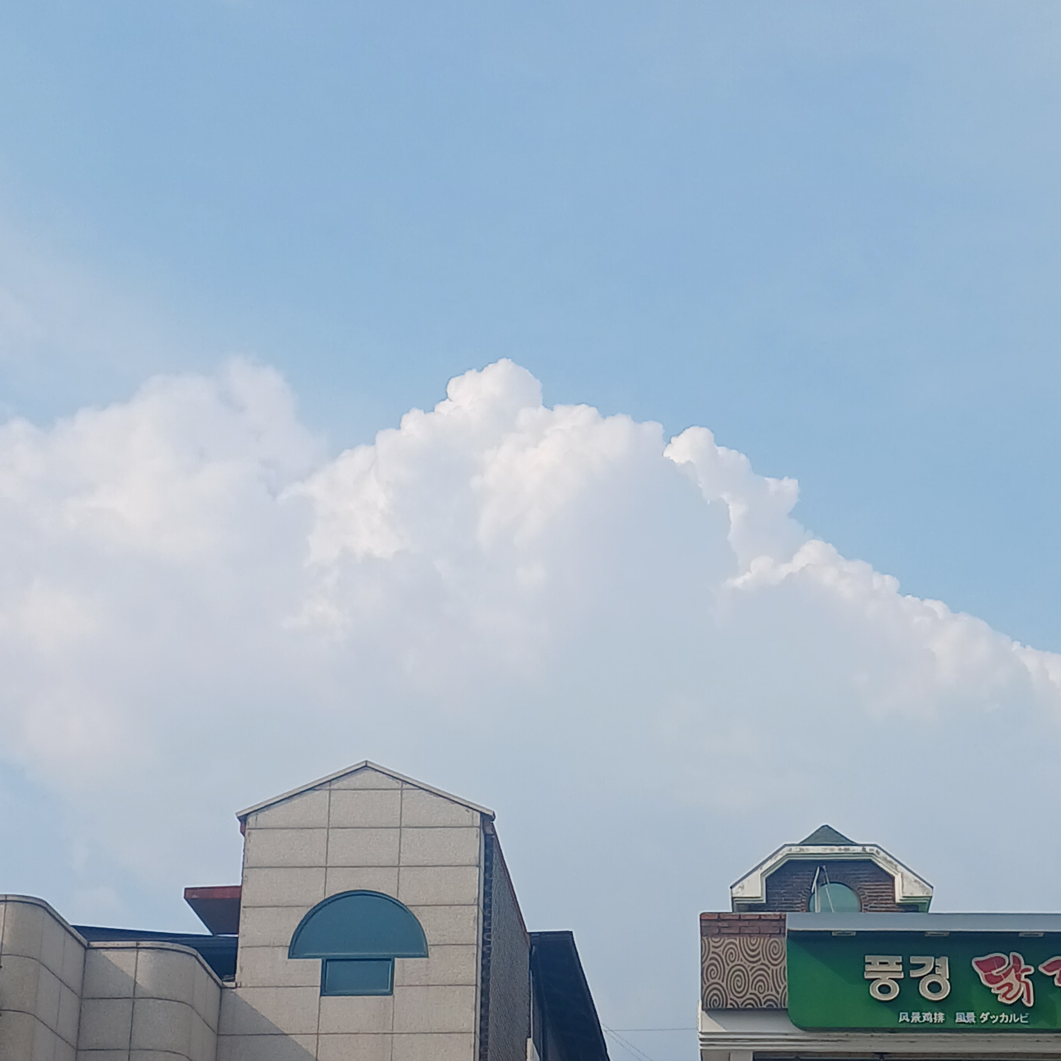 테스타의 매니저가 되어보자 대표 이미지