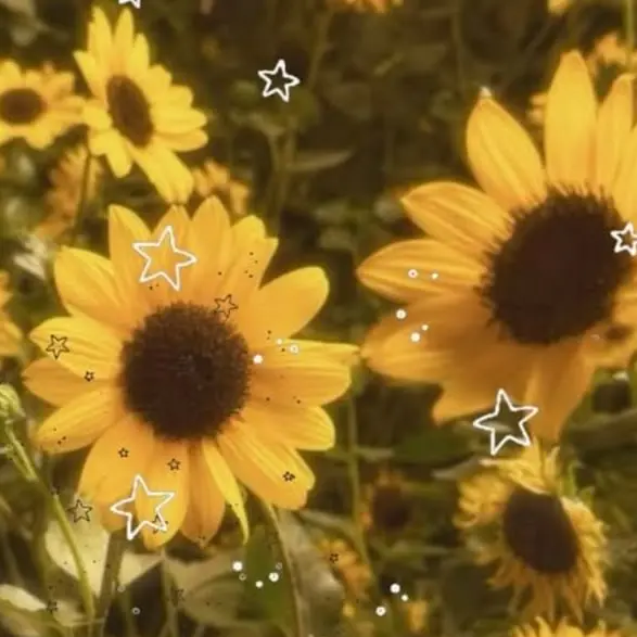 Omisosiru5959의 🐝⋆゜