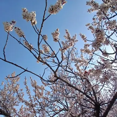 Profile image of 김건호