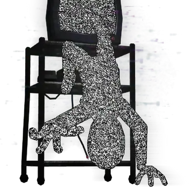Profile image of Noise