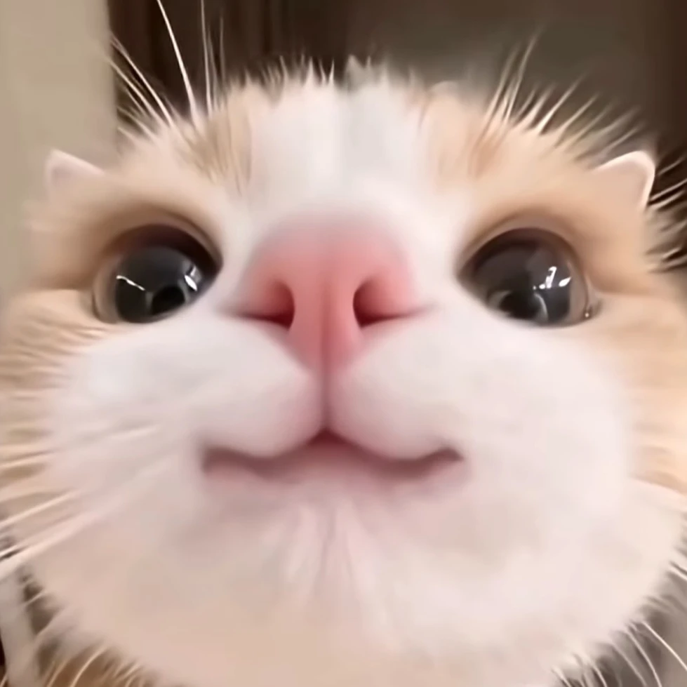 잼민이 여잼민들