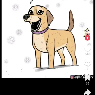 Profile image of 롤라