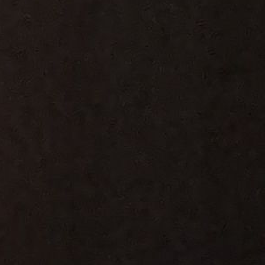 나경 대표 이미지