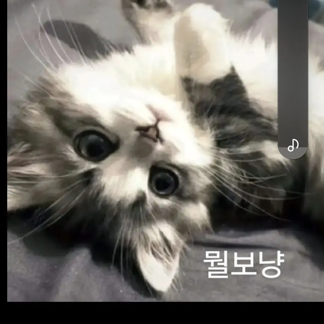 PaddedNote8766의 대저택 가족