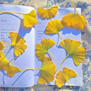 Profile image of 쪼만