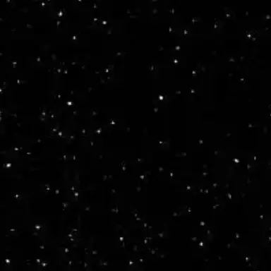 Profile image of .