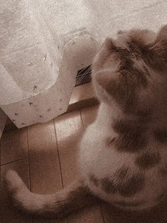 T_ks_bigLove의 後輩が猛アタックしてくる