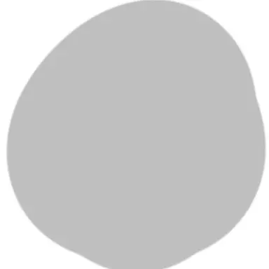 Profile image of ソ連