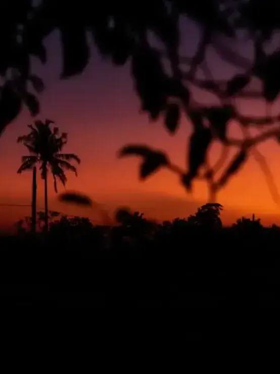 Ajibe의 backroom level 48