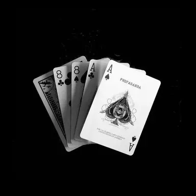 Profile image of 강석찬