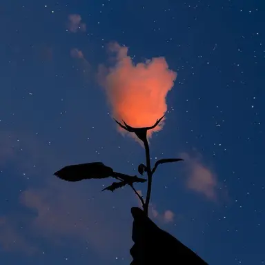 Profile image of 로맨스