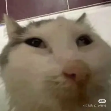 Profile image of 여우