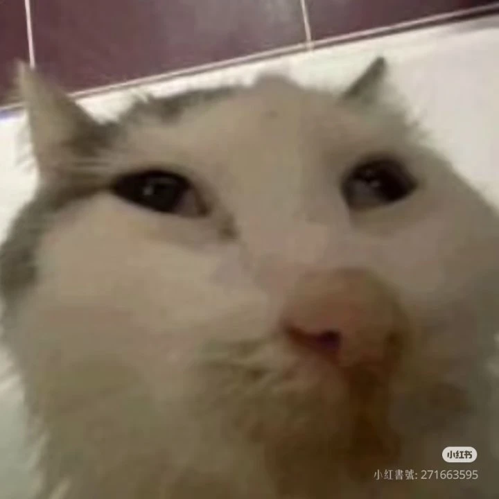 여우