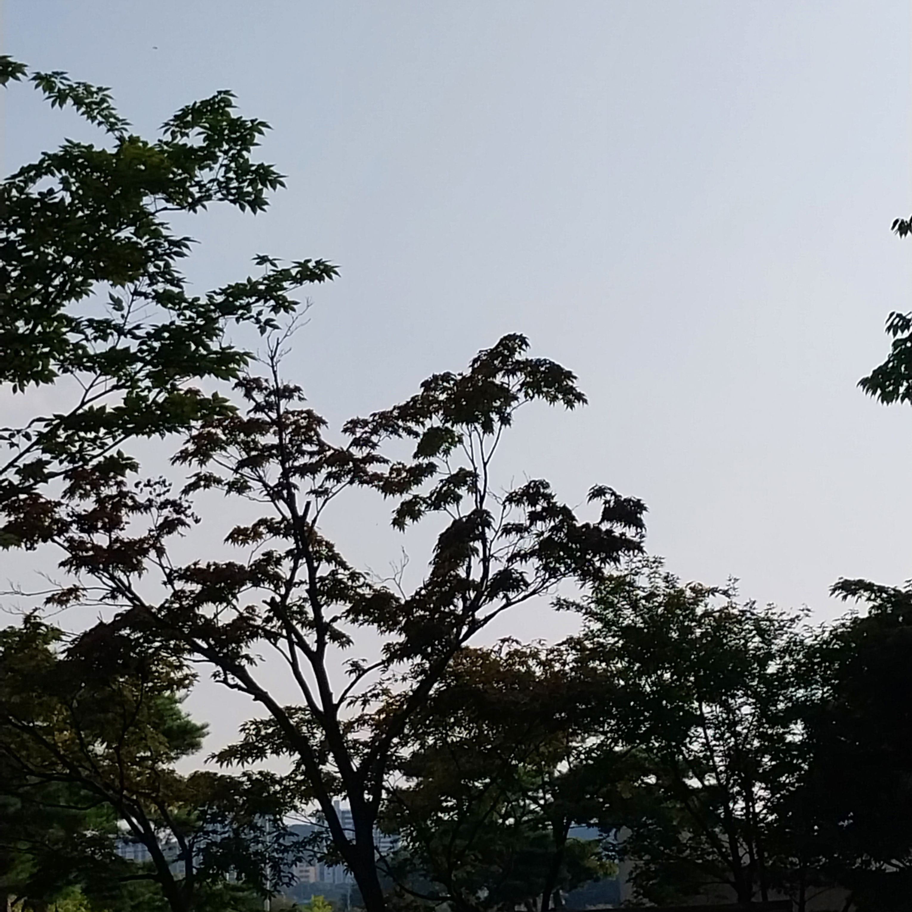 케이팝 데몬헌터스 대표 이미지