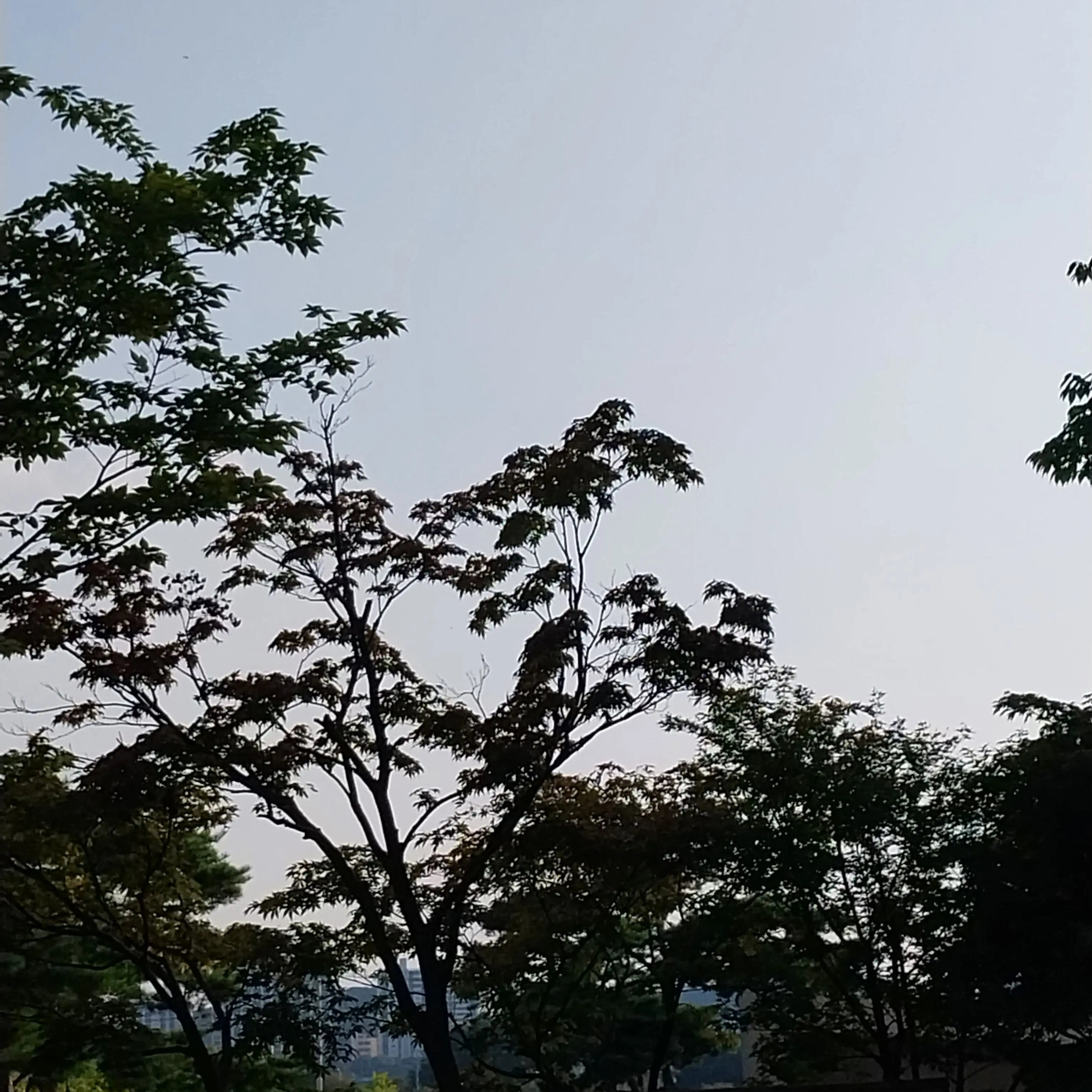 NewFruit4413의 케이팝 데몬헌터스