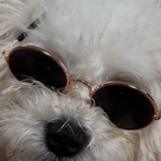 미도리야 이즈쿠