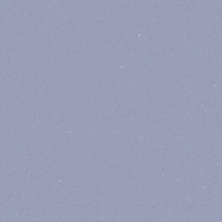 장은서