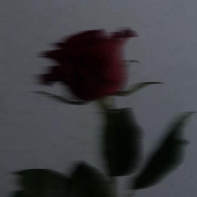 건드려선 안되는 걸 건드려버렸다.. 대표 이미지