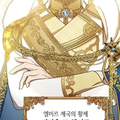 Profile image of 티리온 드 엘미르