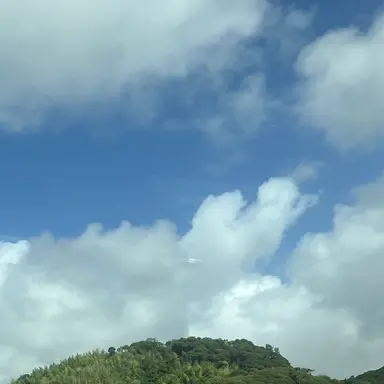Profile image of 白谷竜吾