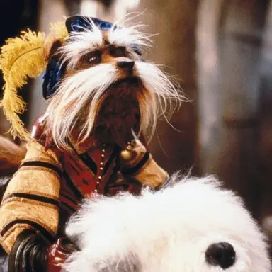 Profile image of Sir Didymus