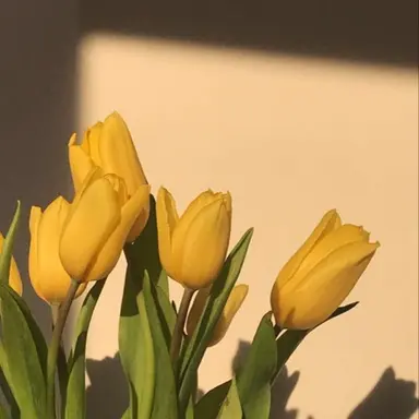 Profile image of 루이쨘