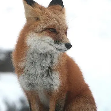 Profile image of 신지연