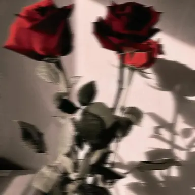 Profile image of 감J