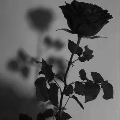 Profile image of 이늦잠