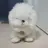 선플러